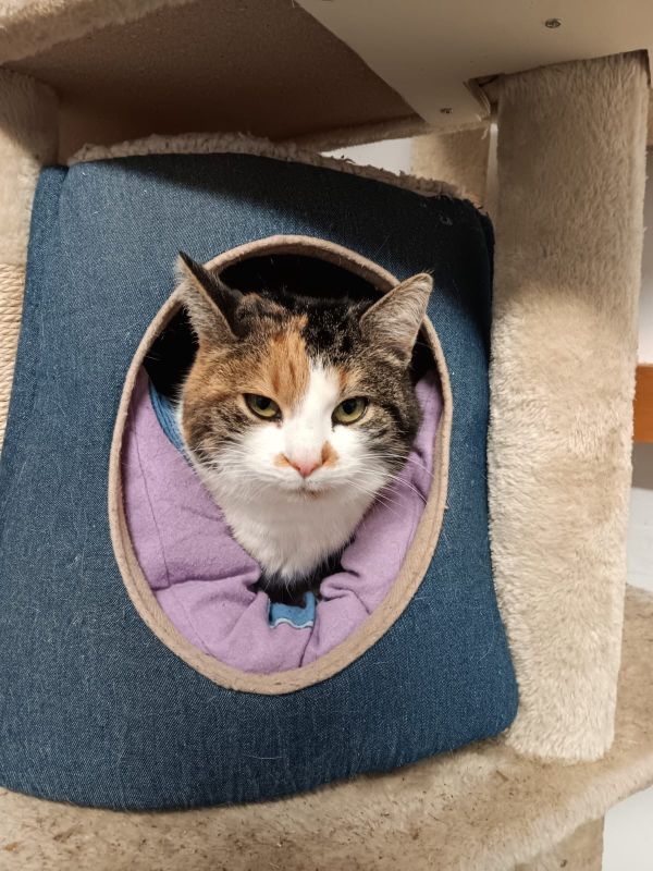 2023 12 Dezember 632